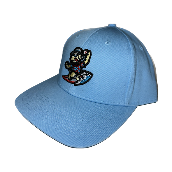 Clearwater Beach Dogs Snapback Youth Cap